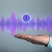 Voice application